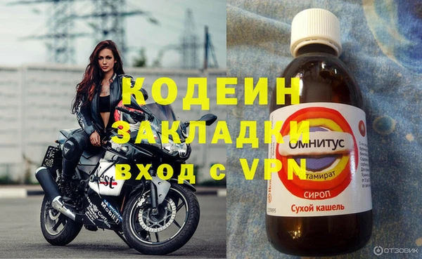 индика Михайловка