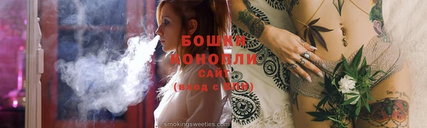 индика Михайловка