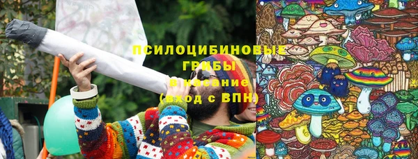 индика Михайловка