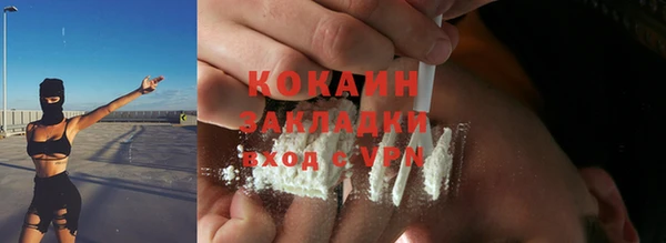 индика Михайловка