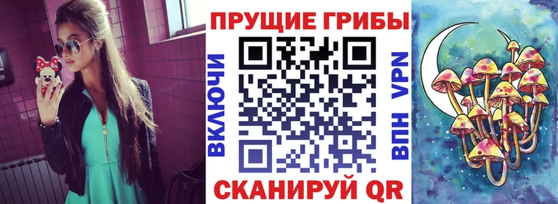 Псилоцибиновые грибы Magic Shrooms  Купить  Починок 